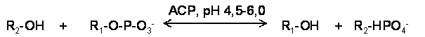 reakce1