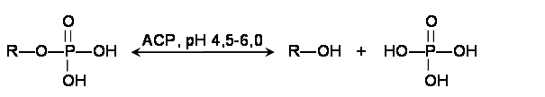 reakce2
