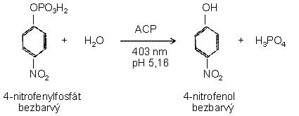 reakce3