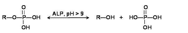 reakce2