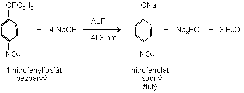 reakce3