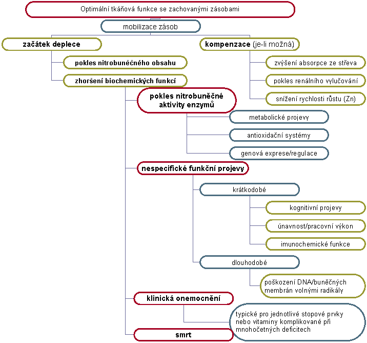 Organizační diagram