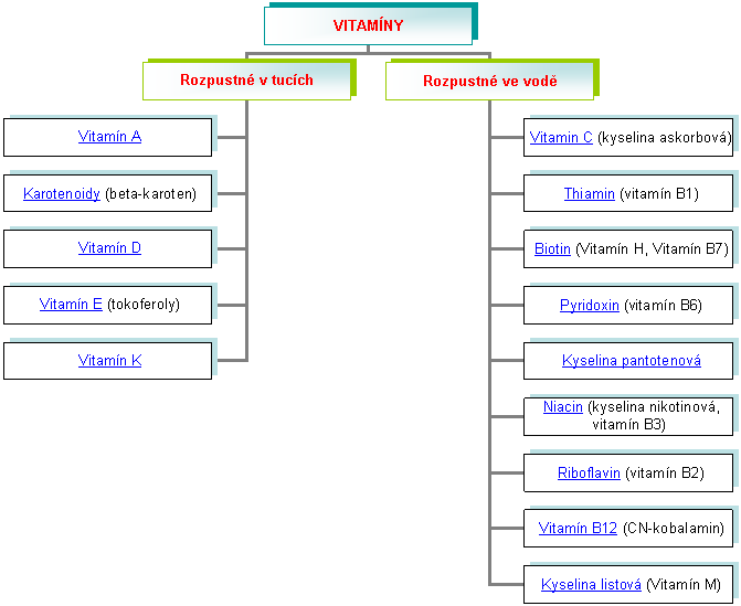 Organizační diagram