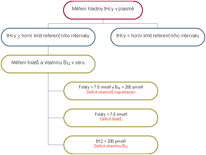 Organizační diagram