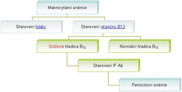 Organizační diagram