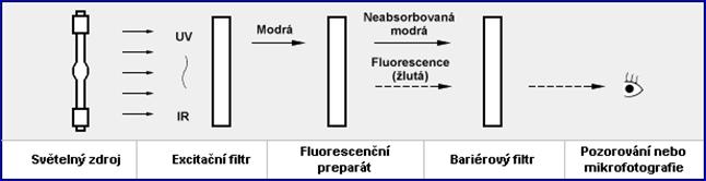 Obrázek 3