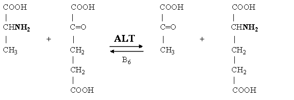 ALT1