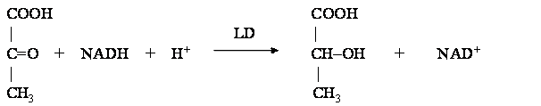 ALT2