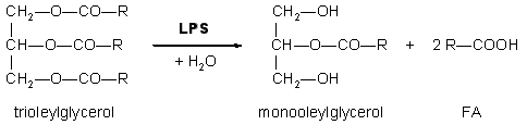 reakce3