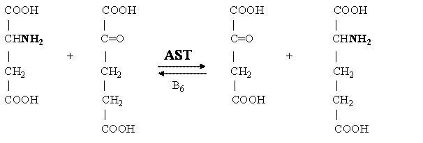 AST1