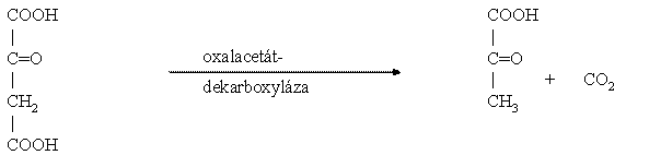 AST5