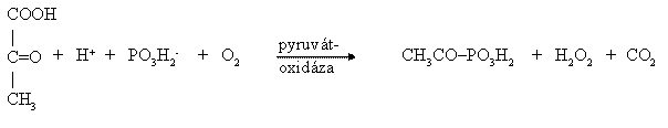 AST6